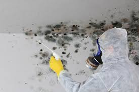 Best HVAC Mold Inspection and Cleaning  in Princevle, IL